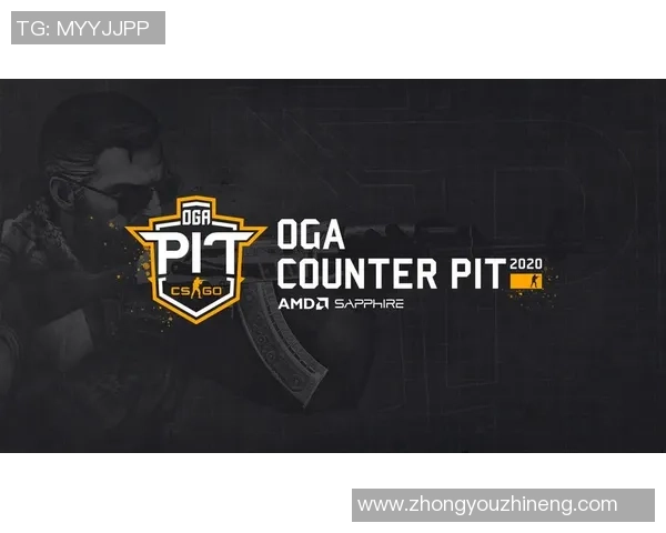 CSGO巨献:深入分析WE战队的比赛策略与经验分享